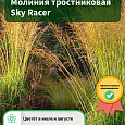 Молиния тростниковая Sky Racer Молиния тростниковая Sky Racer