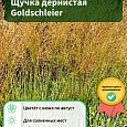 Щучка дернистая Goldschleier