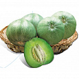 Огурдыня гибридная Green Beauty F1