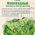 Салат Листовой Изумрудный